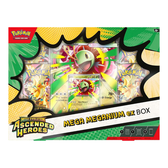 Mega Meganium ex Ascended Heroes Collection Box, authentic English Pokémon TCG packaging
