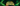Pokémon TCG Mega Evolution—Delta Reign set logo on a dark emerald banner