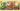 Secret Garden Limited Gift Box (3 Booster Packs + Collector Accessories)
